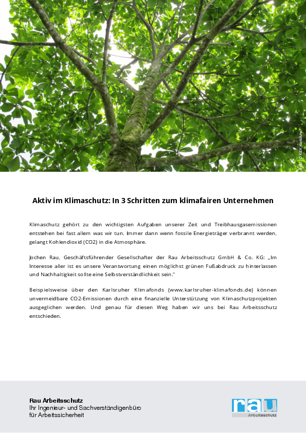 Aktiv im Klimaschutz: In 3 Schritten zum klimafairen Unternehmen Baumkrone